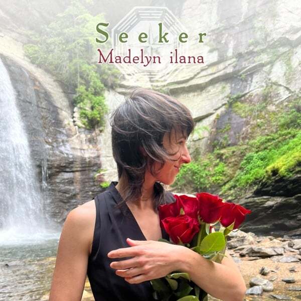 Cover art for Seeker